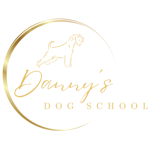 logo danny's dog school
