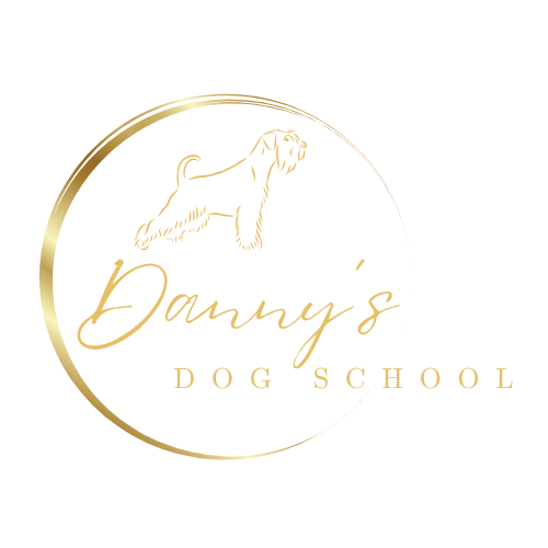 Danny's Dog School